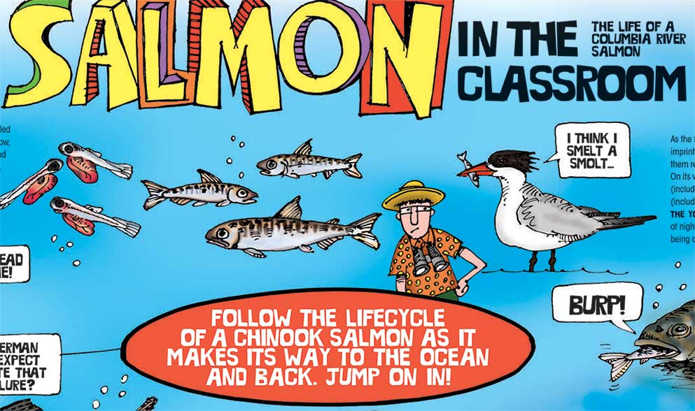 Salmon In The Classroom Poster