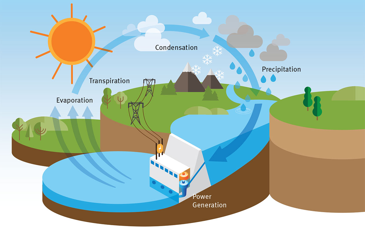 Water Cycle InfoGraphic