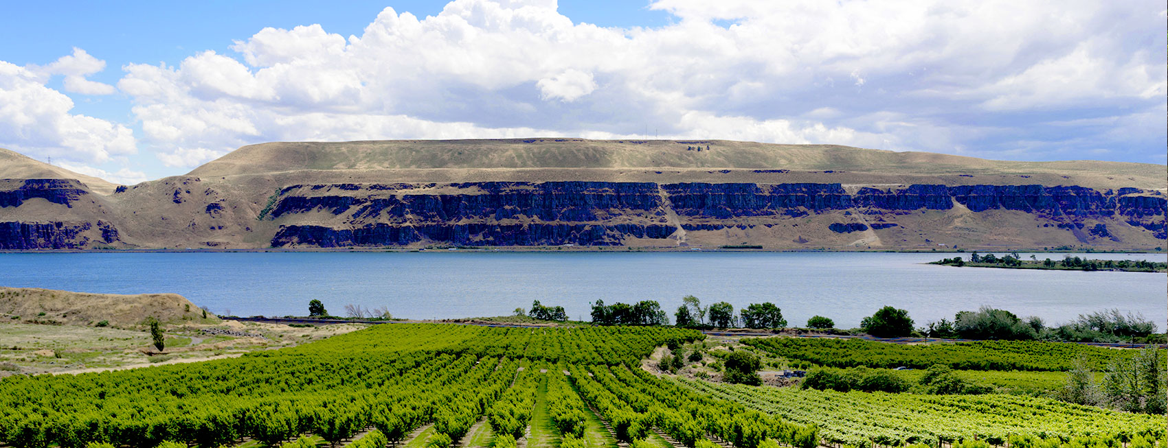 Columbia River Basin orchards