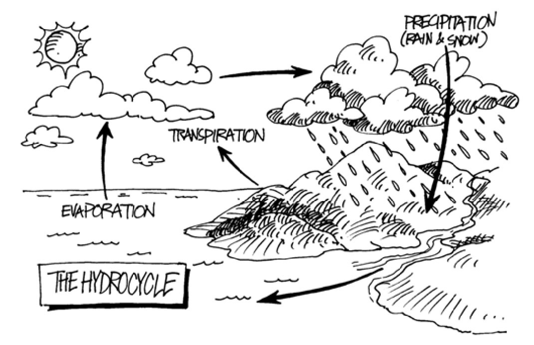 Hydro Cycle Graphic