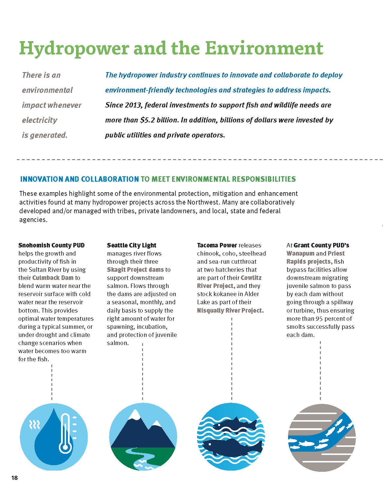 Hydropower and the Environment