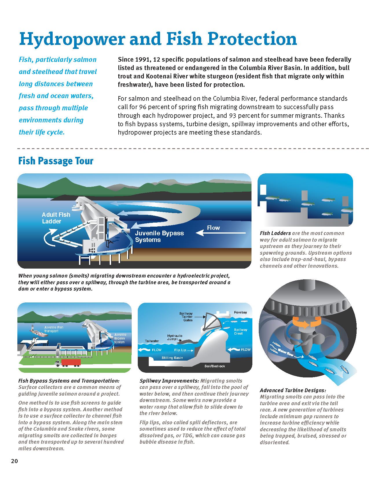 Hydropower and Fish Protection