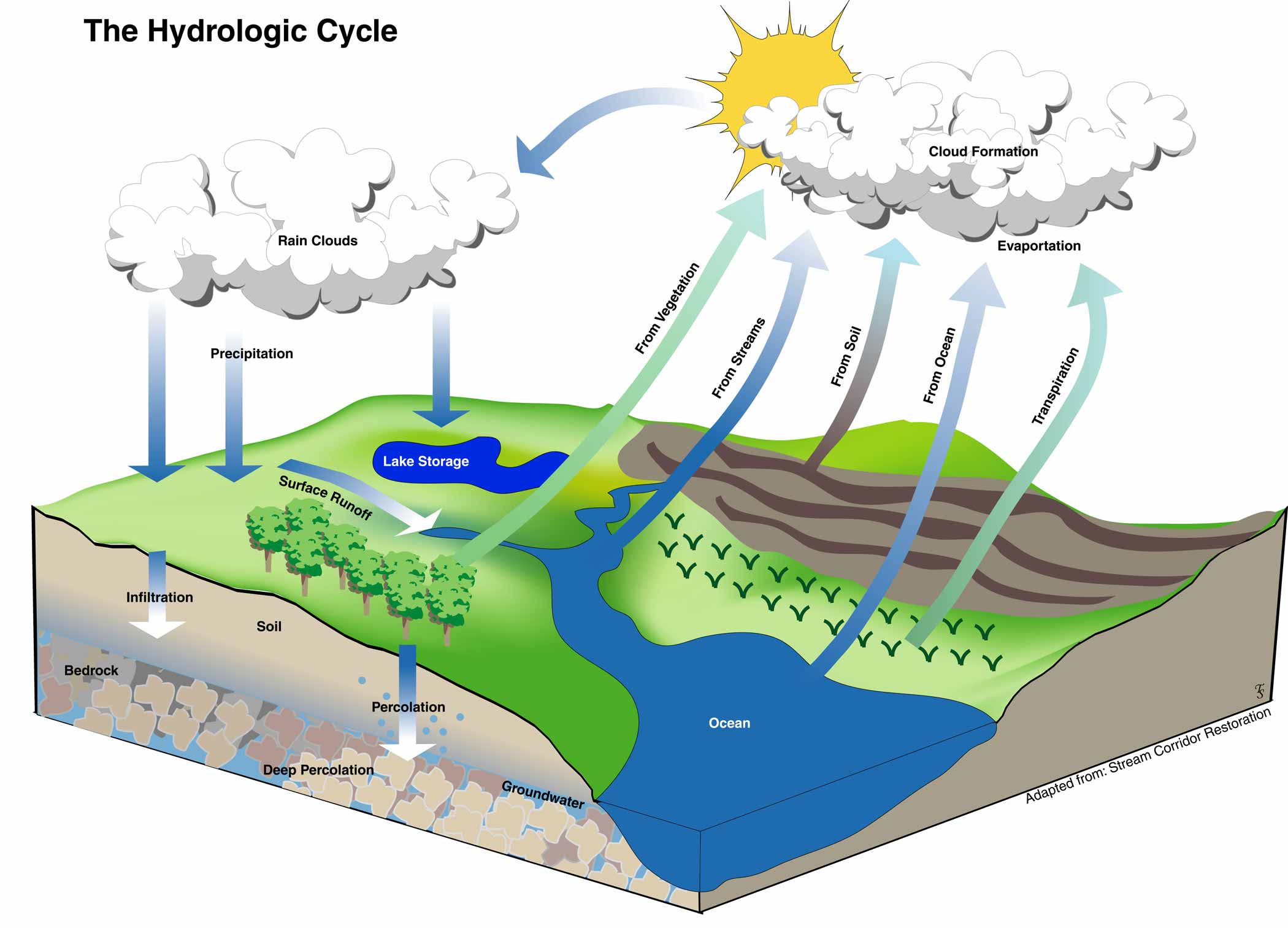 HydrologicCycle FWEE